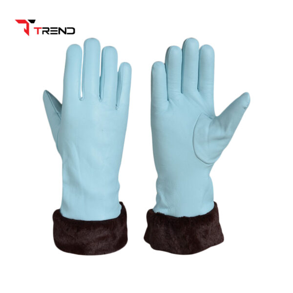 Ladies Fashion Gloves - Image 4